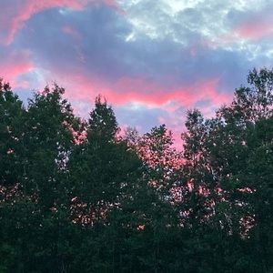 Meet your Posher, Annie